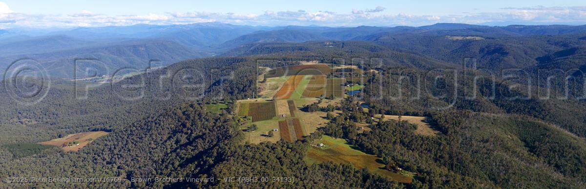 Peter Bellingham Photography Brown Brothers Vineyard - VIC (PBH3 00 34133)